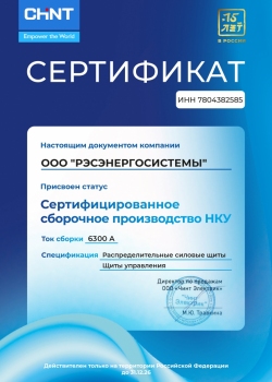 ООО "РЭСЭНЕРГОСИСТЕМЫ"_7804382585_ССП